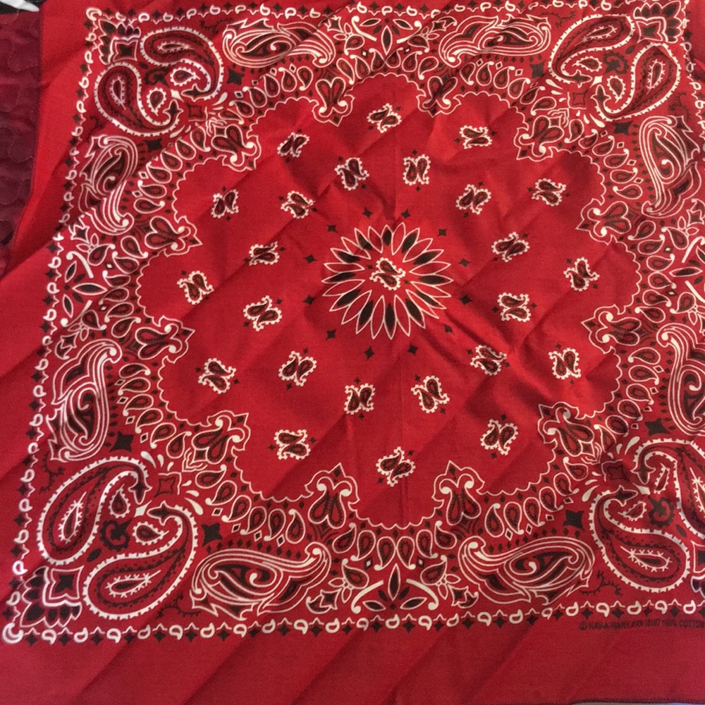Neckerchief - Picture 2 of 2